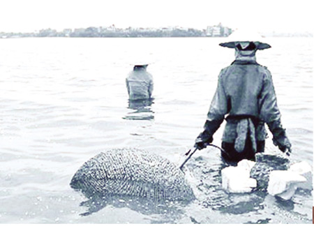 Ốc Hồ T&acirc;y-tản văn của Nguyễn Thị Hương (S&agrave;i G&ograve;n)