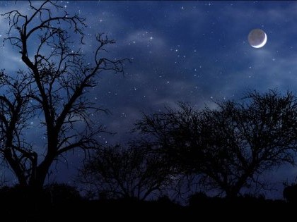 B&agrave;i thơ hay: Đ&Ecirc;M TRẮNG của La Giang