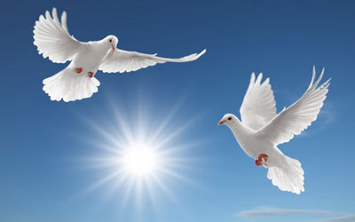 Gương mặt cuộc đời