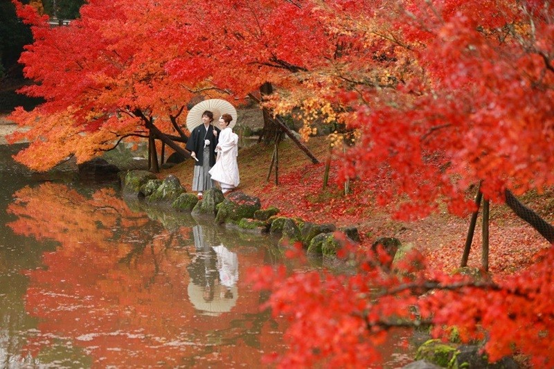 20 bài thơ Haiku đăng TPM 21