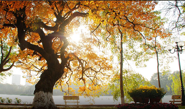 Ch&ugrave;m thơ của Nguyễn Hiền (Đồng Nai)